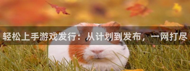 雷火竞技电子商务有限公司怎么样啊：轻松上手游戏发行：从计划到发布，一网打尽