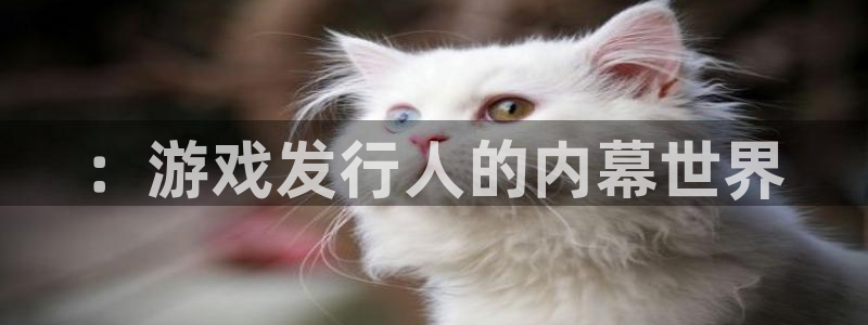 雷火竞技校服：：游戏发行人的内幕世界