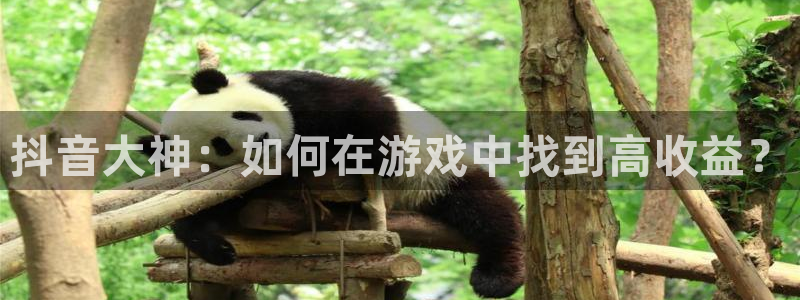 雷火竞技实业投资(东莞)有限公司：抖音大神：如何在游戏中找到高收益？