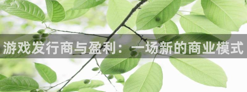 雷火竞技子经理人：游戏发行商与盈利：一场新的商业模式