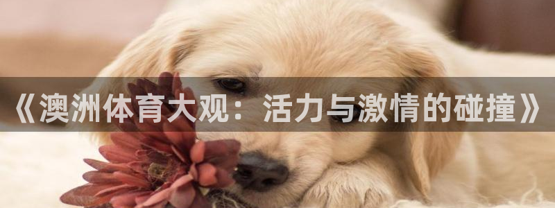 xc体育app官方网站