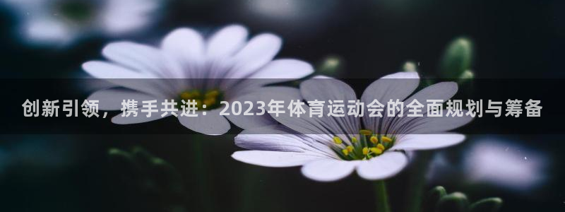 xc体育app官方网站：创新引领，携手共进：2023年体育运动会的全面规划与筹备