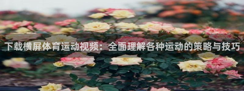 xc体育app官方网站：下载横屏体育运动视频：全面理解各种运动的策略与技巧