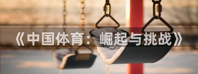 xc体育：《中国体育：崛起与挑战》