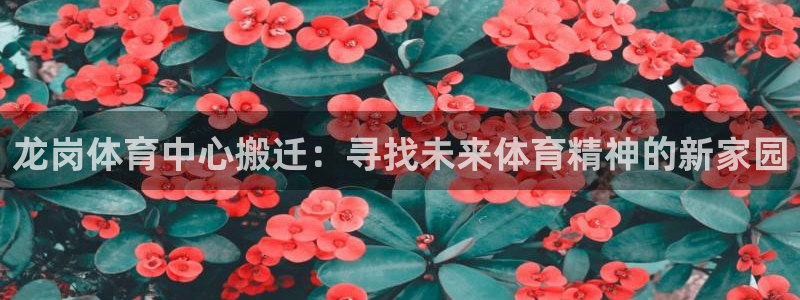 xc体育：龙岗体育中心搬迁：寻找未来体育精神的新家园