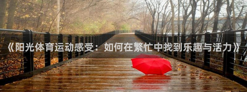 xc体育app官方网站：《阳光体育运动感受：如何在繁忙中找到乐趣与活力》
