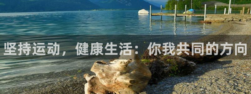 xc体育app官方网站