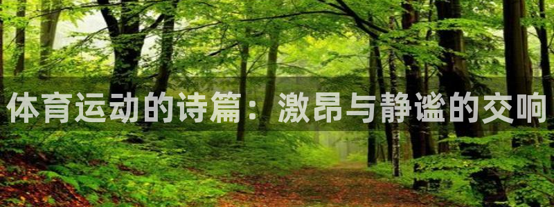 xc体育app官方网站