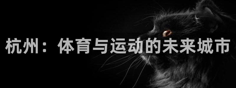 xc体育