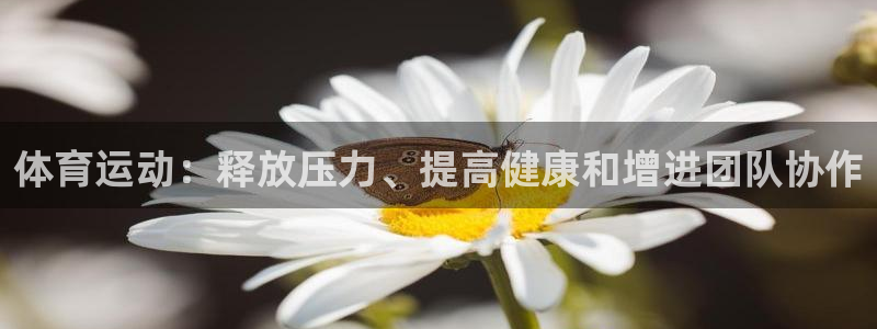xc体育